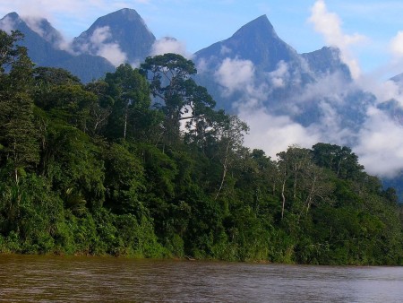 Cordillera Azul National Park