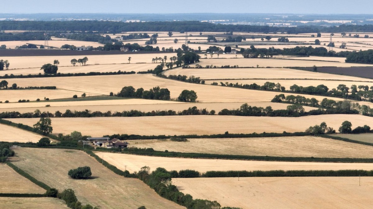 Europe's Record-Breaking Heatwave Will Likely Be an 'Average' Summer In the Next 20 Years