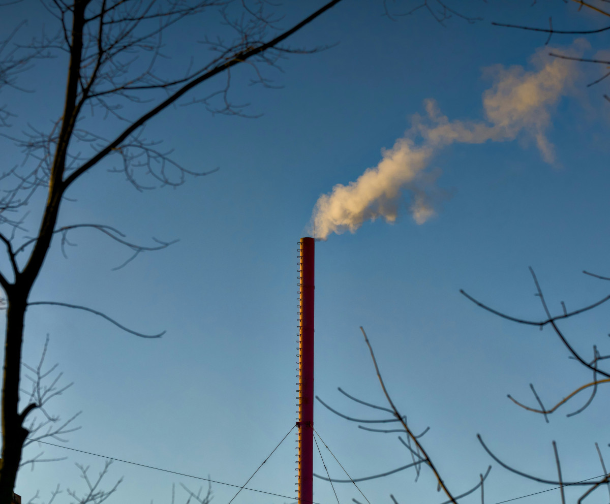 Background image representing the article