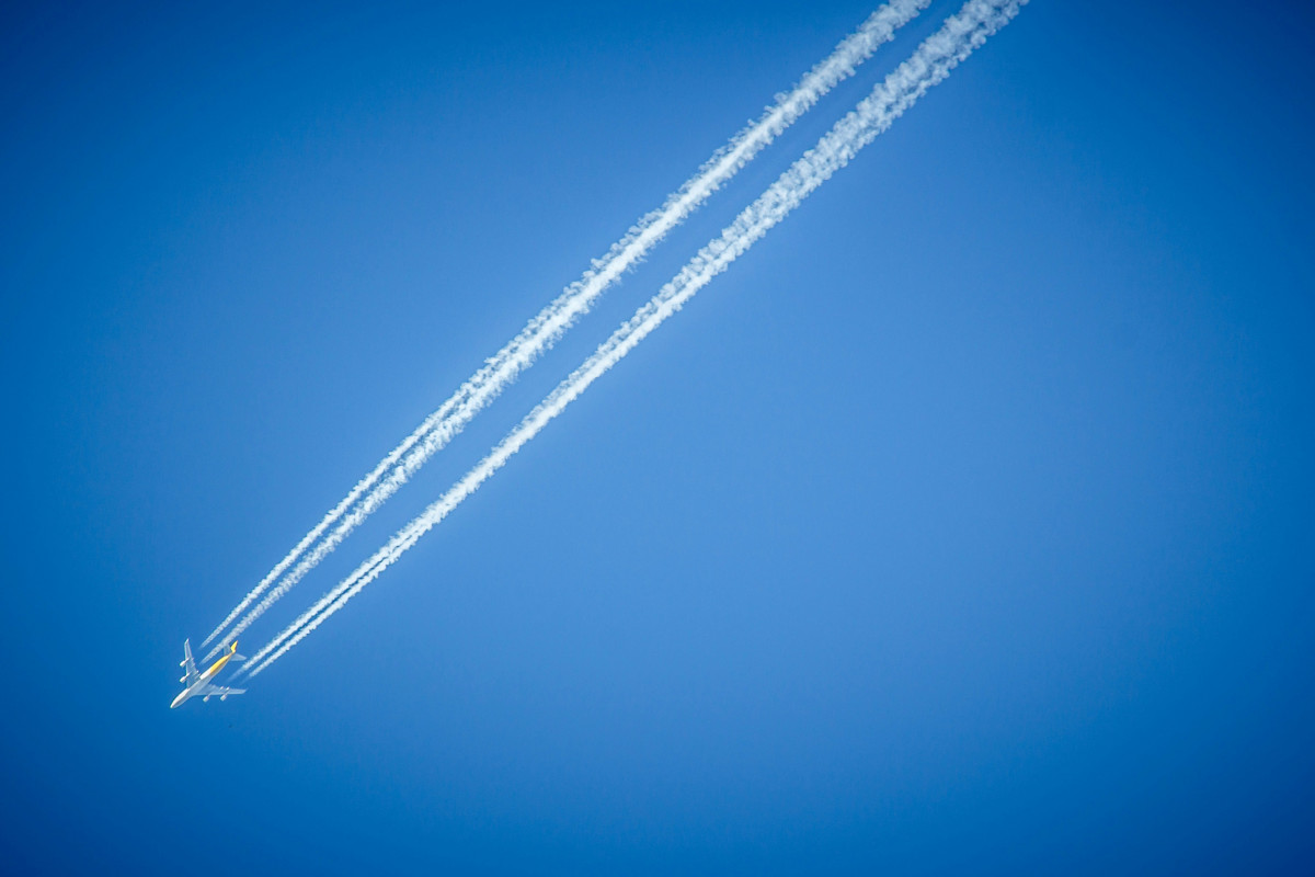 Background image representing the article