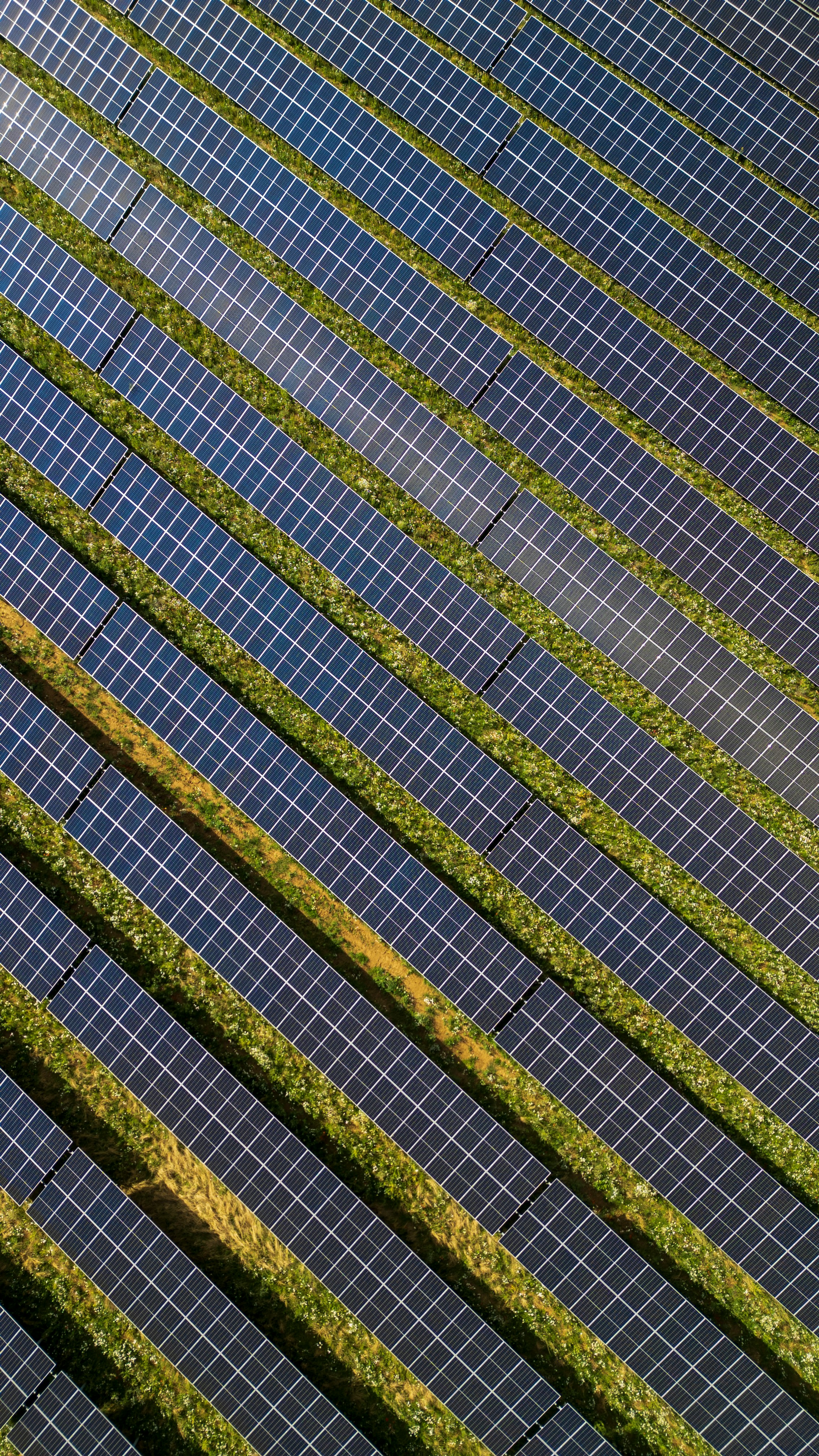 Solar Farm
